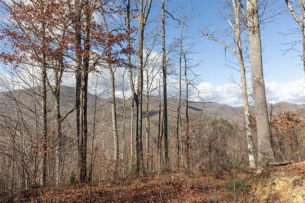 524 White Rock Road Cullowhee NC 28723