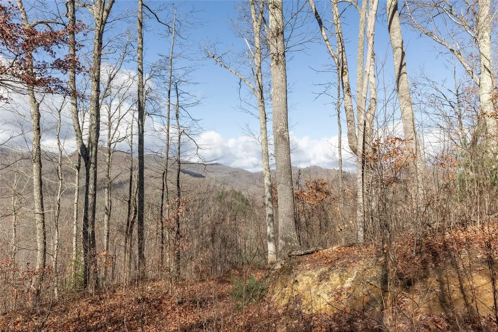 524 White Rock Road Cullowhee NC 28723