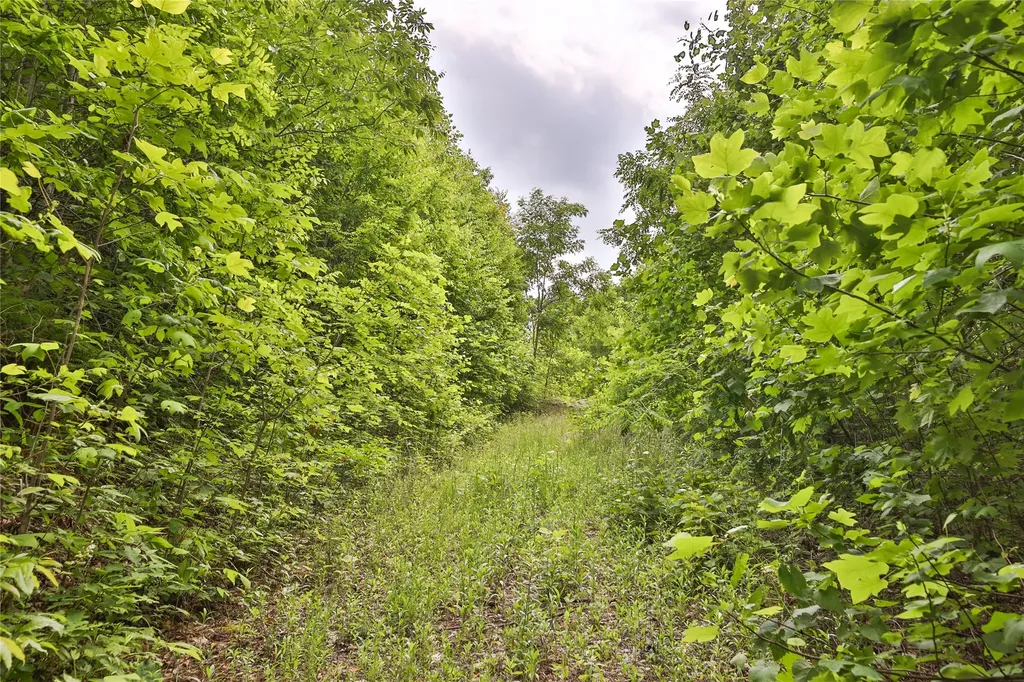 0 White Rock Road Cullowhee NC 28723
