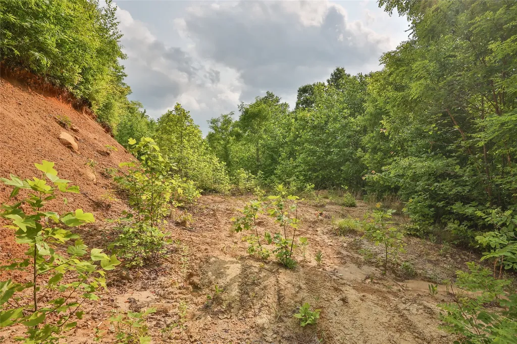 0 White Rock Road Cullowhee NC 28723