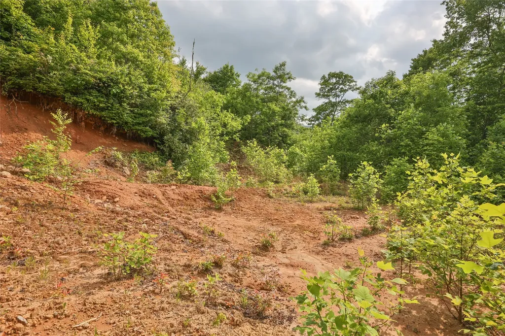 0 White Rock Road Cullowhee NC 28723