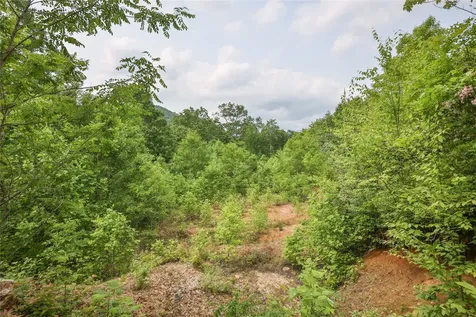 0 White Rock Road Cullowhee NC 28723