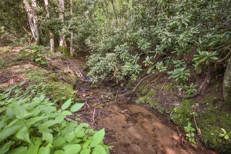 0 White Rock Road Cullowhee NC 28723