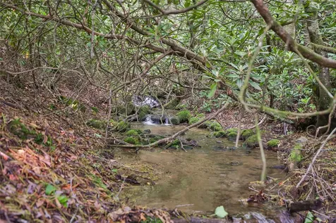 0 White Rock Road Cullowhee NC 28723