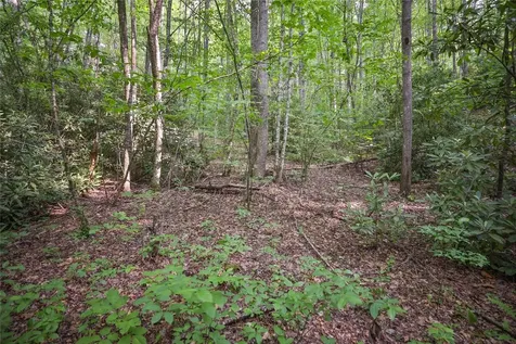 524 White Rock Road Cullowhee NC 28723