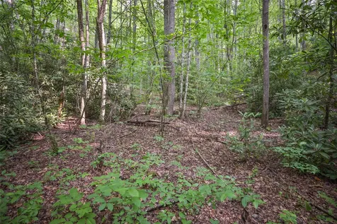 0 White Rock Road Cullowhee NC 28723