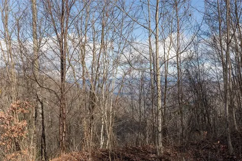 0 White Rock Road Cullowhee NC 28723