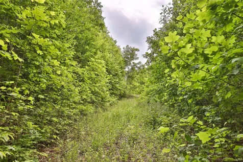 0 White Rock Road Cullowhee NC 28723