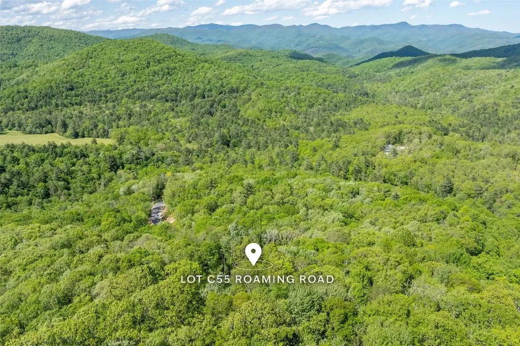 C55 Roaming Road Glenville NC 28736