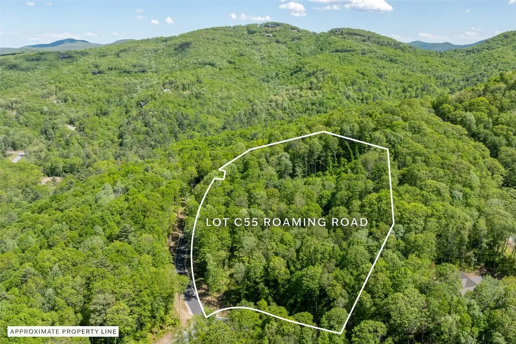 C55 Roaming Road Glenville NC 28736