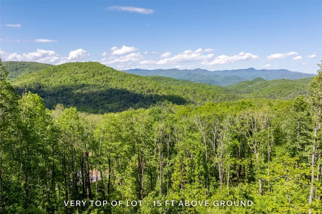 C55 Roaming Road Glenville NC 28736