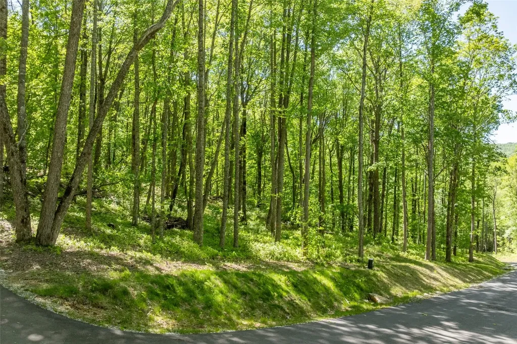 C55 Roaming Road Glenville NC 28736