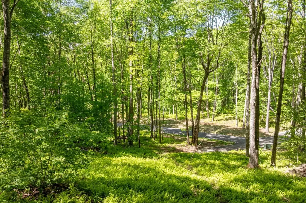 C55 Roaming Road Glenville NC 28736