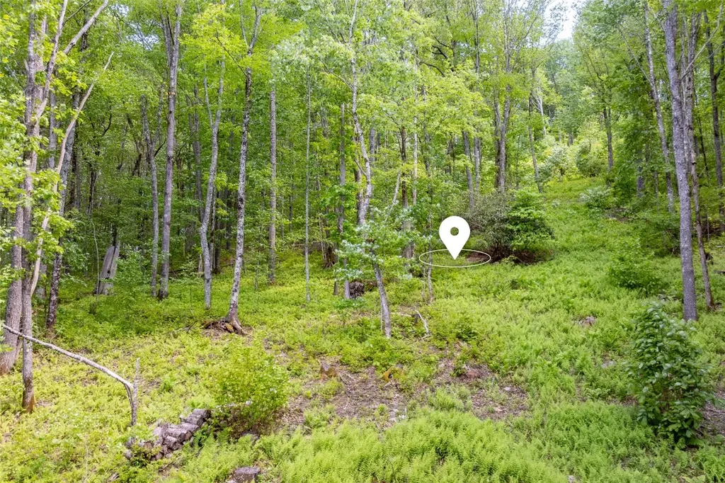 C55 Roaming Road Glenville NC 28736