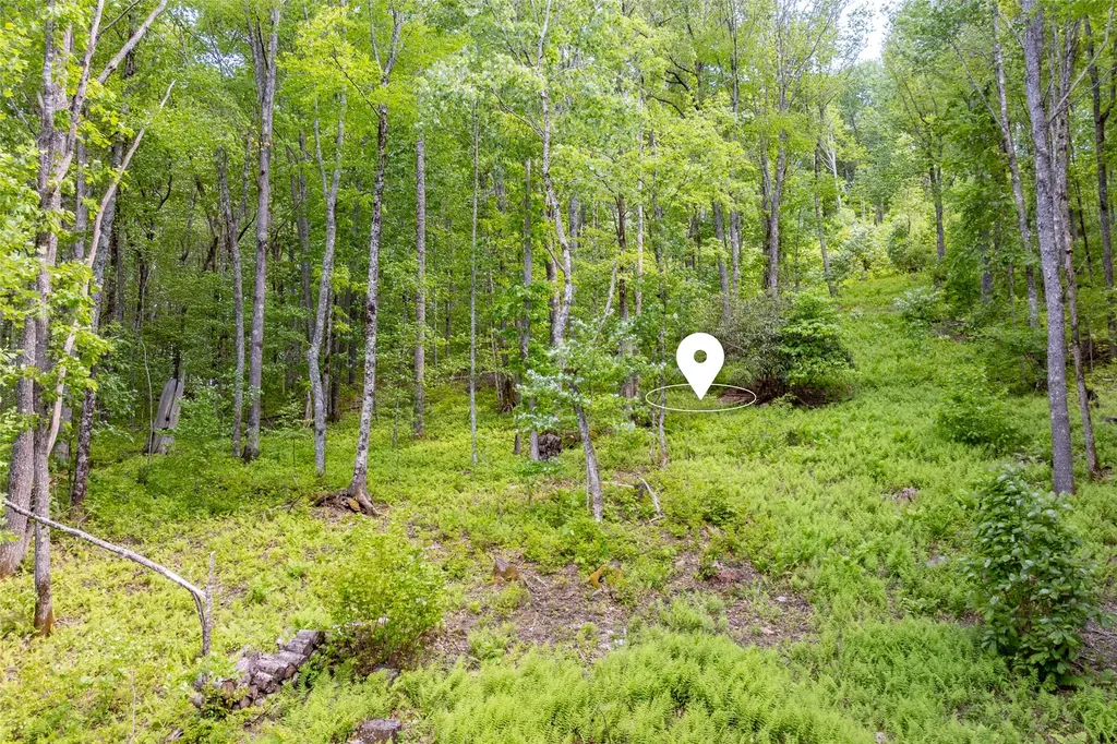 C55 Roaming Road Glenville NC 28736