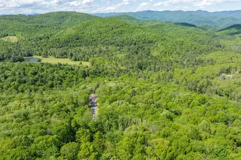 C55 Roaming Road Glenville NC 28736