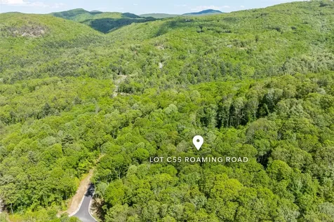 C55 Roaming Road Glenville NC 28736