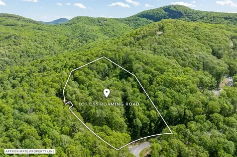 C55 Roaming Road Glenville NC 28736