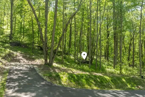 C55 Roaming Road Glenville NC 28736