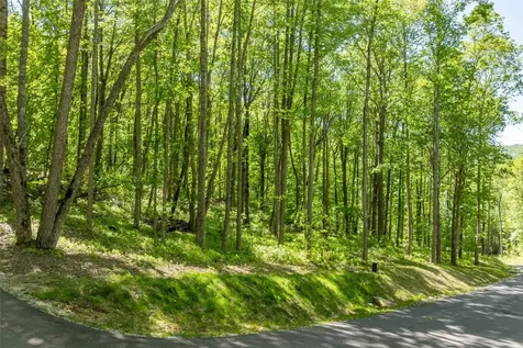 C55 Roaming Road Glenville NC 28736