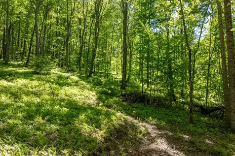 C55 Roaming Road Glenville NC 28736