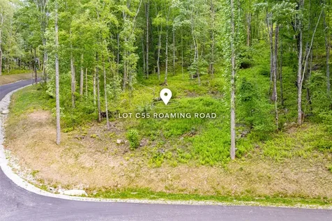 C55 Roaming Road Glenville NC 28736