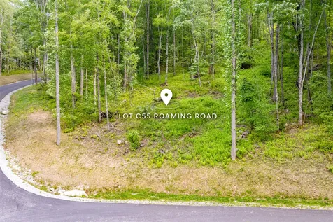 C55 Roaming Road Glenville NC 28736