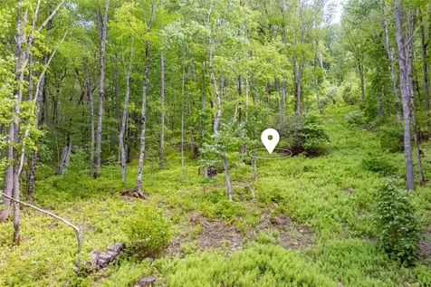 C55 Roaming Road Glenville NC 28736