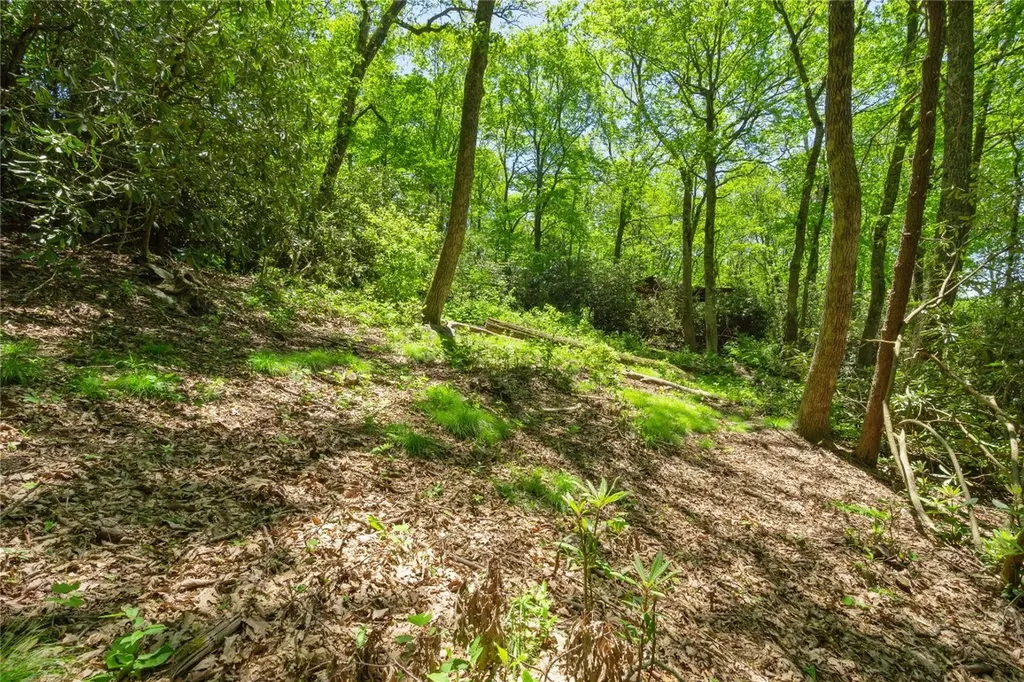 Tbd Upper Lake Road Highlands NC 28741