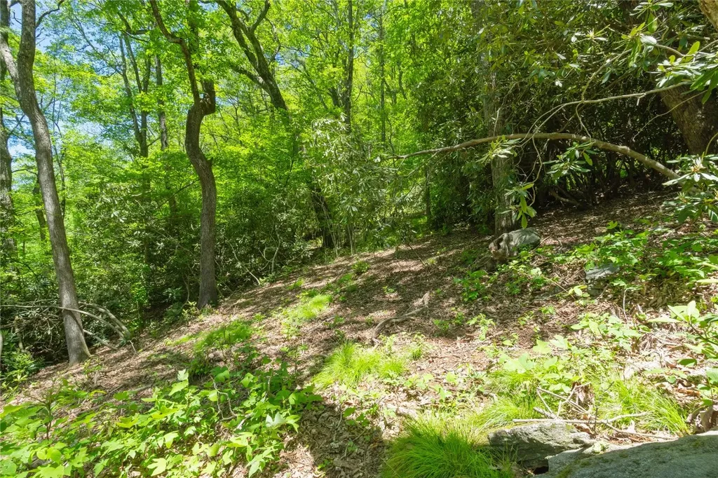 Tbd Upper Lake Road Highlands NC 28741