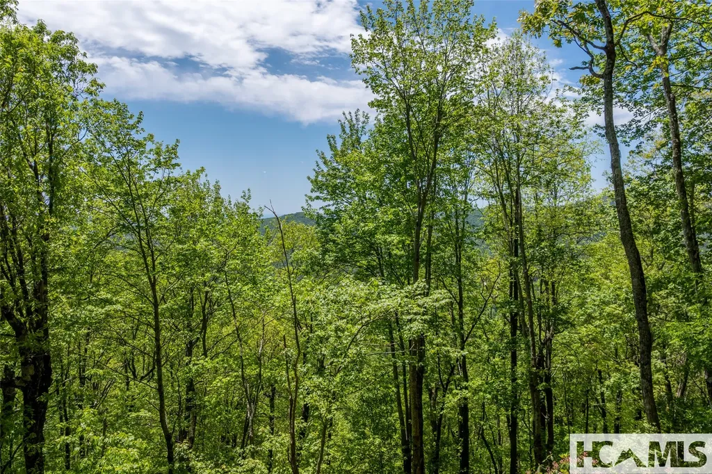 Lot 1r Yarak Drive Sapphire NC 28774