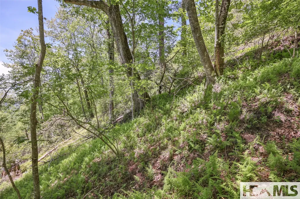 Lot 1r Yarak Drive Sapphire NC 28774