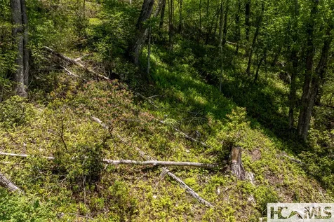 Lot 1r Yarak Drive Sapphire NC 28774