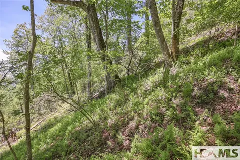 Lot 1r Yarak Drive Sapphire NC 28774