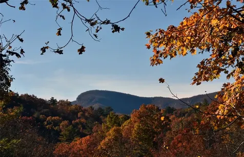 102 Gray Bank Road Lake Toxaway NC 28747