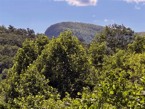 102 Gray Bank Road Lake Toxaway NC 28747