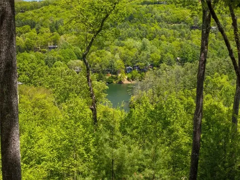 60 Glassy View Cashiers NC 28717
