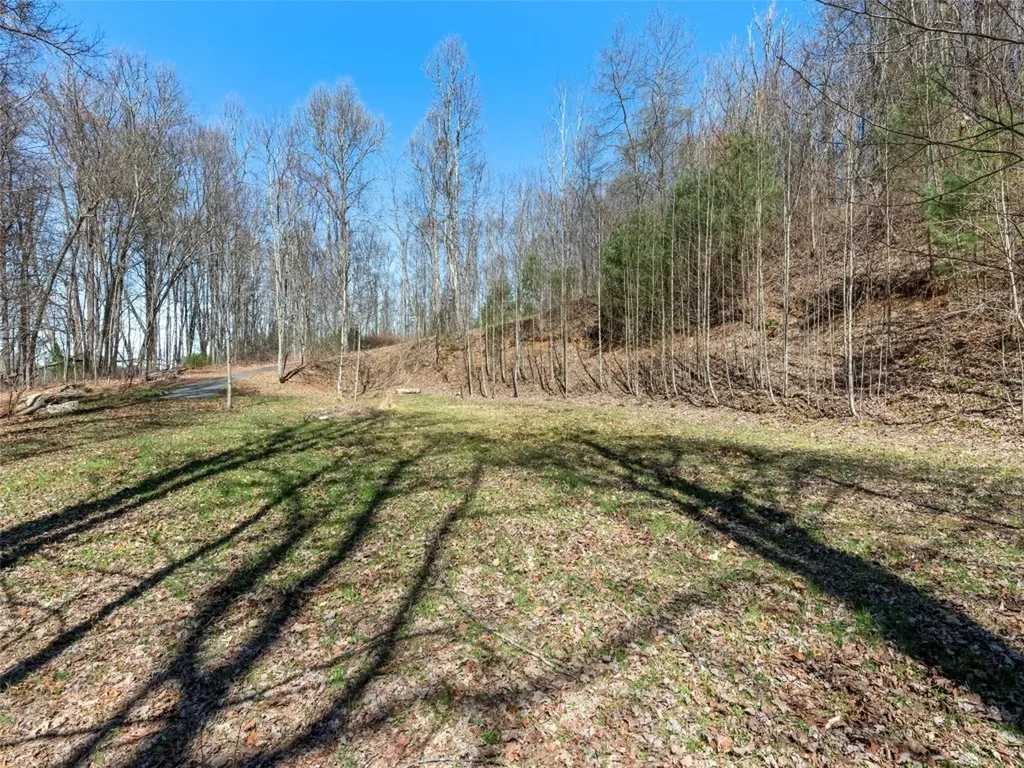 120 Nips Way Cullowhee NC 28723