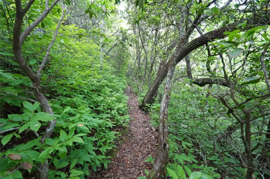 44 Rocky Knob Lane Scaly Mountain NC 28775