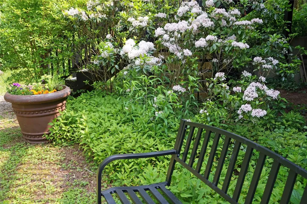 44 Rocky Knob Lane Scaly Mountain NC 28775