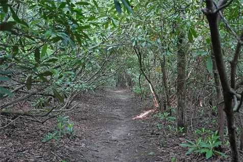 44 Rocky Knob Lane Scaly Mountain NC 28775