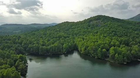 44 Rocky Knob Lane Scaly Mountain NC 28775