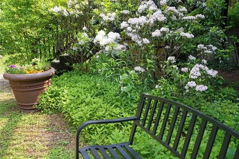 44 Rocky Knob Lane Scaly Mountain NC 28775