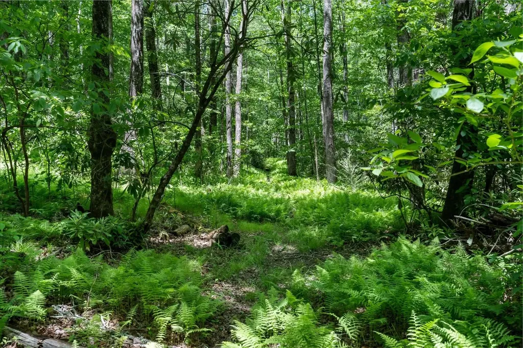 9999 W Club Boulevard Lake Toxaway NC 28747