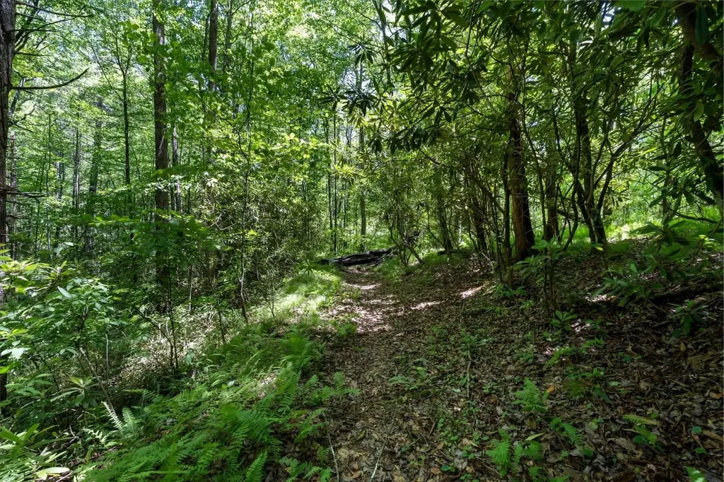 9999 W Club Boulevard Lake Toxaway NC 28747