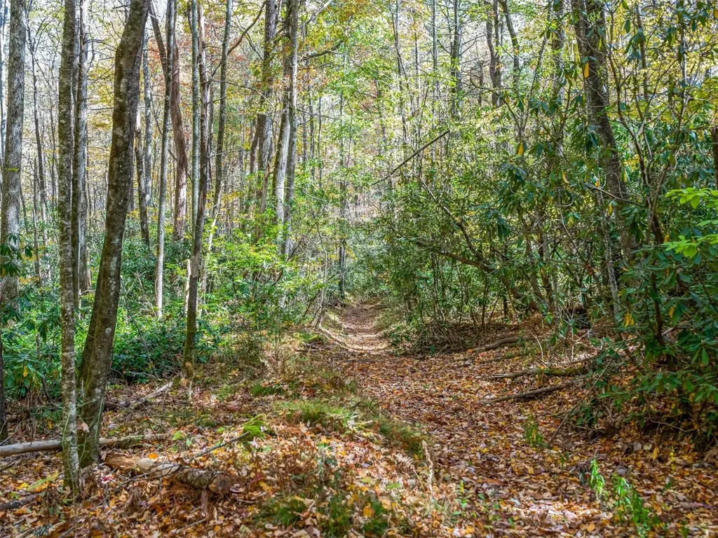 9999 W Club Boulevard Lake Toxaway NC 28747