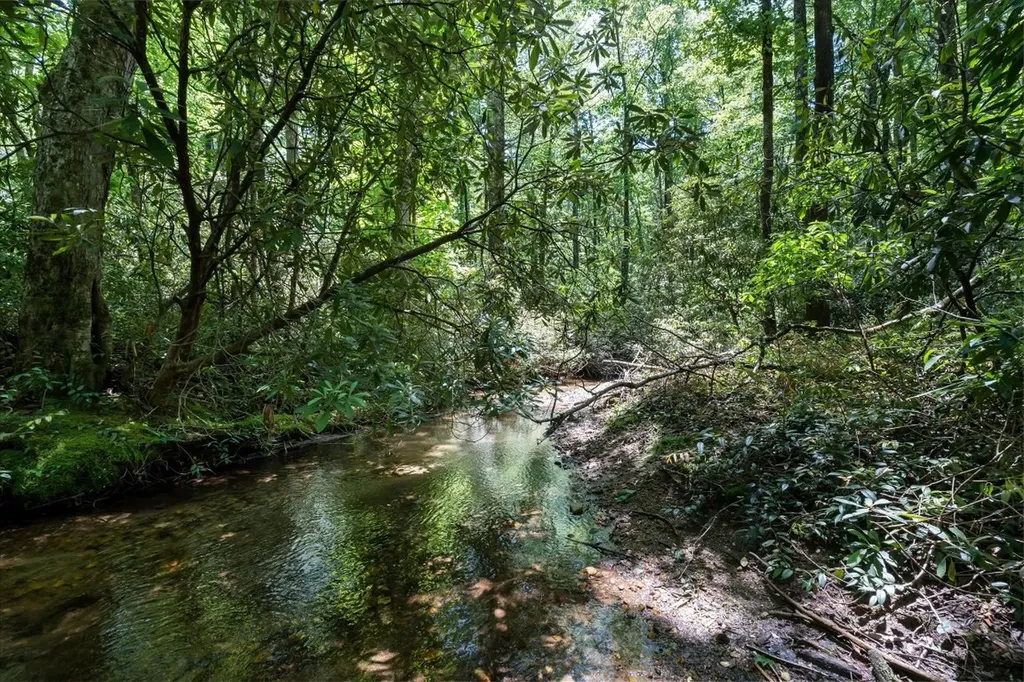 9999 W Club Boulevard Lake Toxaway NC 28747