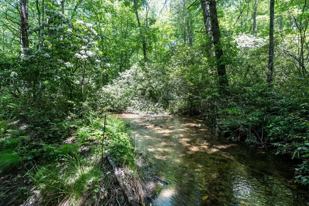 9999 W Club Boulevard Lake Toxaway NC 28747