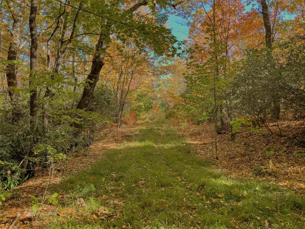 9999 W Club Boulevard Lake Toxaway NC 28747