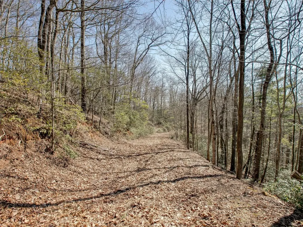 9999 W Club Boulevard Lake Toxaway NC 28747